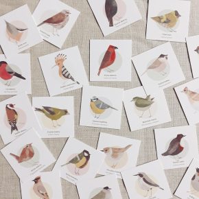 Pexeso Ptáčci | Markét ilustrace